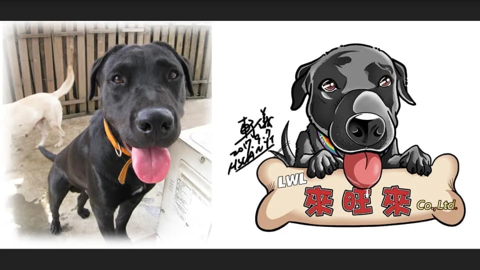 圖片